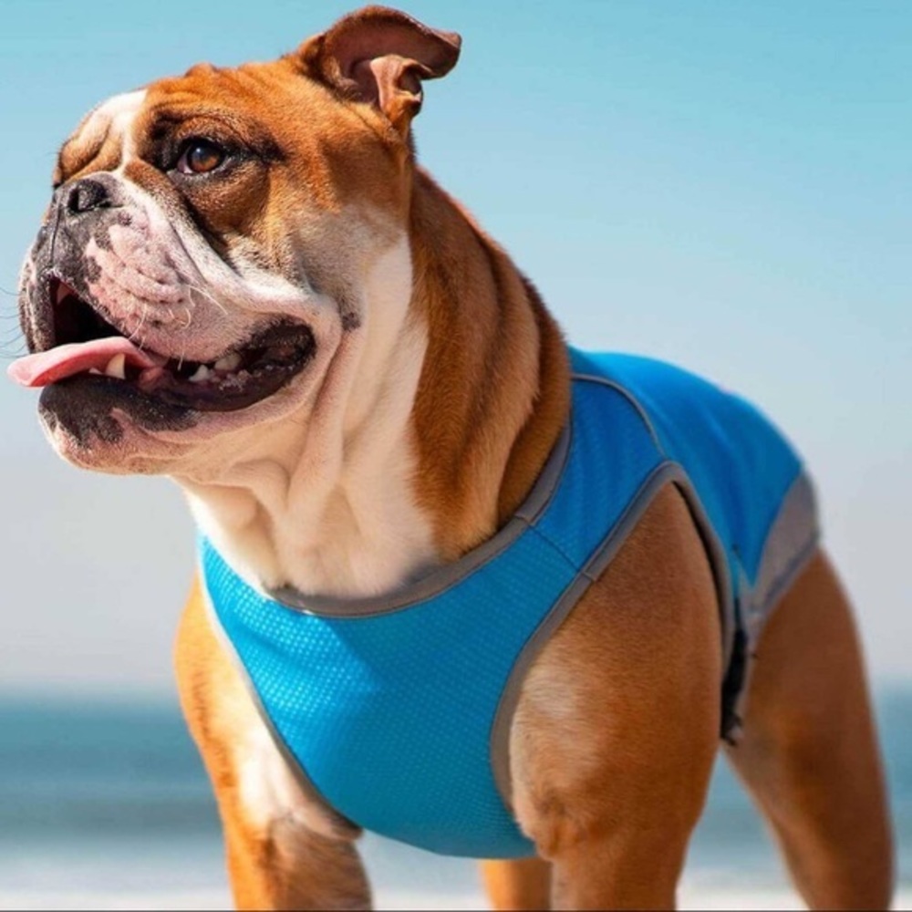 Canada Pooch Chill Seeker Chilling Vest | Small 8”